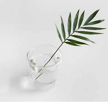 【新手教程】易懂的网站攻击源码